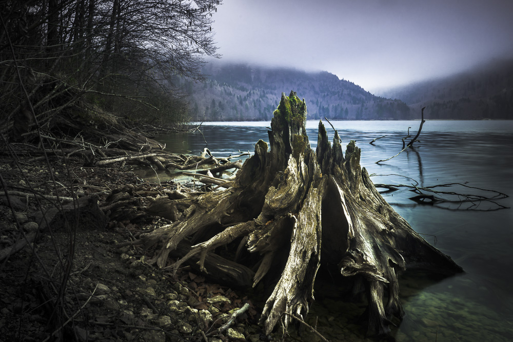 5. Platz Harald Unglert